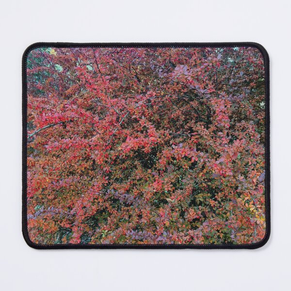 Item preview, autumn, barberry, nature, leaf, leaves designed and sold by colorgallery11.