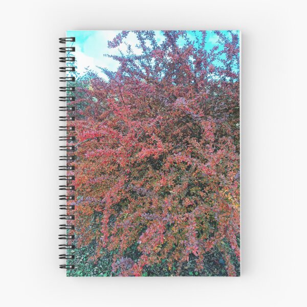 Item preview, autumn, barberry, nature, leaf, leaves designed and sold by colorgallery11.