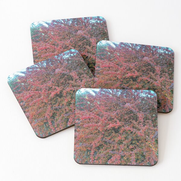 Item preview, autumn, barberry, nature, leaf, leaves designed and sold by colorgallery11.