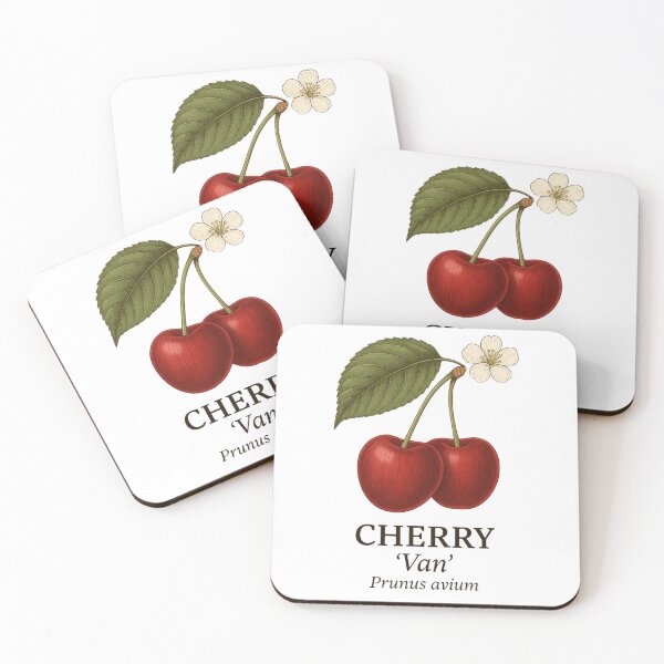 Item preview, Cherry ‘Van’ – Prunus avium designed and sold by BloomKind.