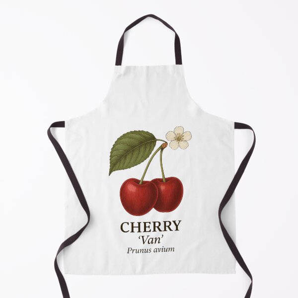 Item preview, Cherry ‘Van’ – Prunus avium designed and sold by BloomKind.