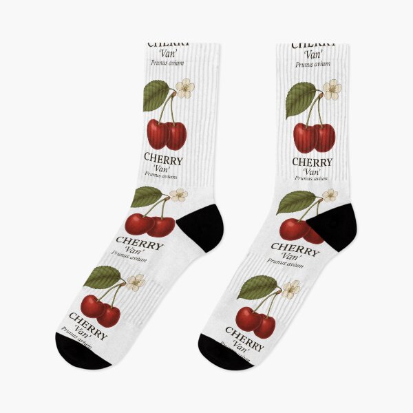 Item preview, Cherry ‘Van’ – Prunus avium designed and sold by BloomKind.