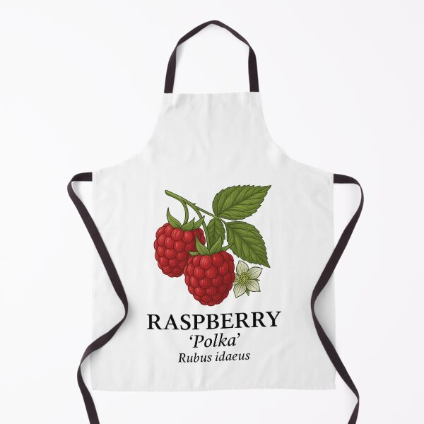Item preview, Raspberry ‘Polka’ – Rubus idaeus designed and sold by BloomKind.