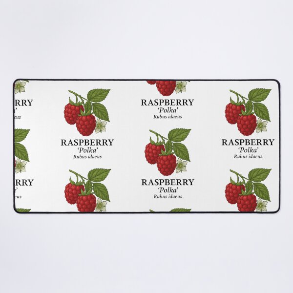 Item preview, Raspberry ‘Polka’ – Rubus idaeus designed and sold by BloomKind.