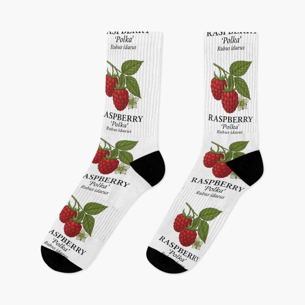 Item preview, Raspberry ‘Polka’ – Rubus idaeus designed and sold by BloomKind.