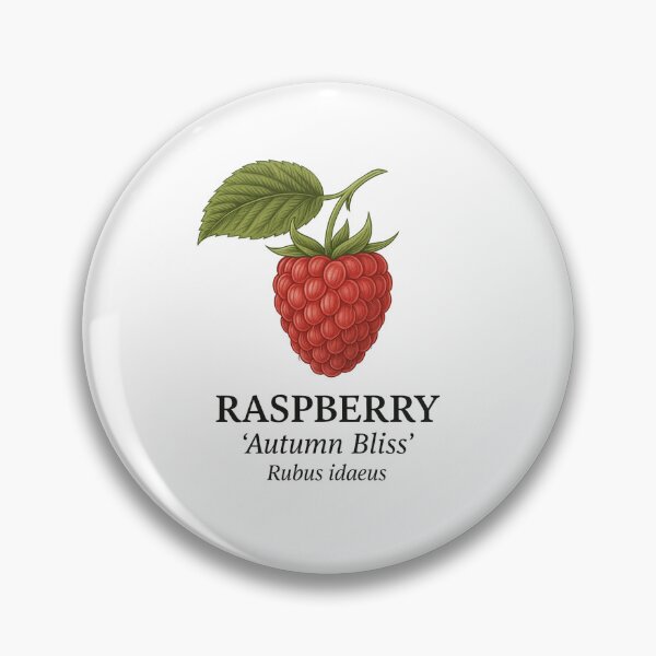 Item preview, Raspberry ‘Autumn Bliss’ – Rubus idaeus designed and sold by BloomKind.