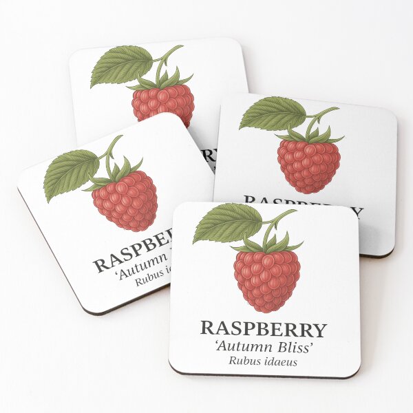 Item preview, Raspberry ‘Autumn Bliss’ – Rubus idaeus designed and sold by BloomKind.