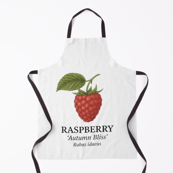 Item preview, Raspberry ‘Autumn Bliss’ – Rubus idaeus designed and sold by BloomKind.