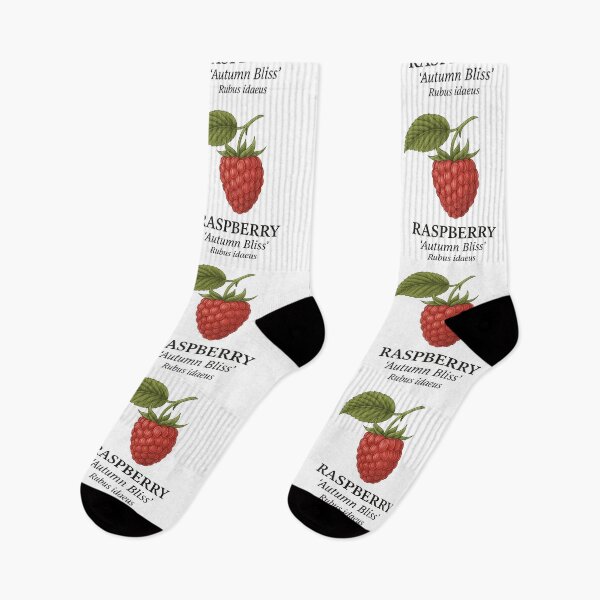 Item preview, Raspberry ‘Autumn Bliss’ – Rubus idaeus designed and sold by BloomKind.