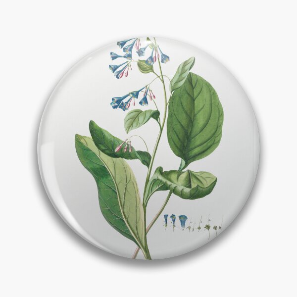 Item preview, Plantae Selectae: No. 42–Pulmonaria or Lungworts by Georg Dionysius Ehret. designed and sold by AngyDesigns49.