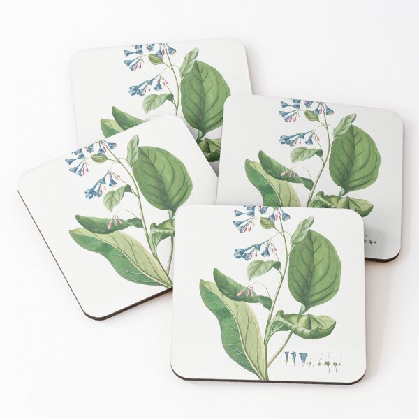 Item preview, Plantae Selectae: No. 42–Pulmonaria or Lungworts by Georg Dionysius Ehret. designed and sold by AngyDesigns49.
