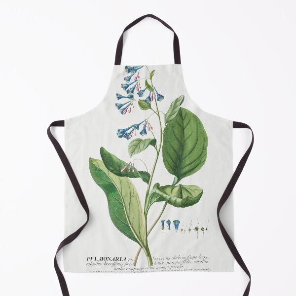 Item preview, Plantae Selectae: No. 42–Pulmonaria or Lungworts by Georg Dionysius Ehret. designed and sold by AngyDesigns49.