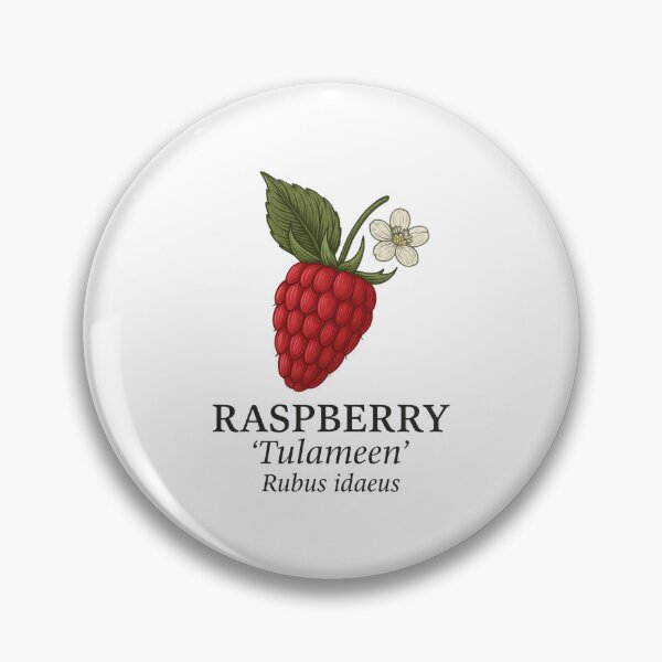 Item preview, Raspberry ‘Tulameen’ – Rubus idaeus designed and sold by BloomKind.