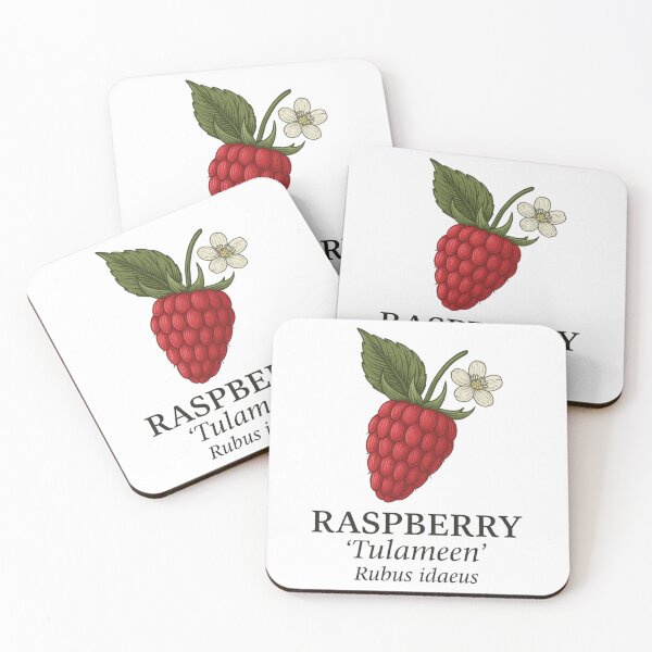 Item preview, Raspberry ‘Tulameen’ – Rubus idaeus designed and sold by BloomKind.