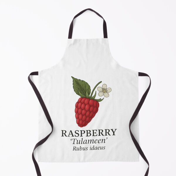 Item preview, Raspberry ‘Tulameen’ – Rubus idaeus designed and sold by BloomKind.