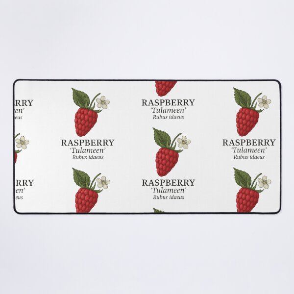 Item preview, Raspberry ‘Tulameen’ – Rubus idaeus designed and sold by BloomKind.