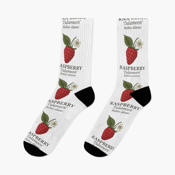 Item preview, Raspberry ‘Tulameen’ – Rubus idaeus designed and sold by BloomKind.