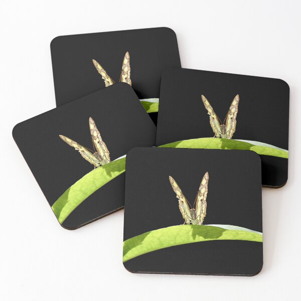 Item preview, Butterfly on a green leaf – wings in a V-shape / Swiss Artwork Photography designed and sold by Raphael Wolf.