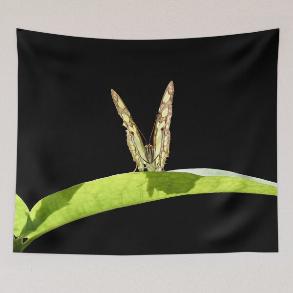 Item preview, Butterfly on a green leaf – wings in a V-shape / Swiss Artwork Photography designed and sold by Raphael Wolf.