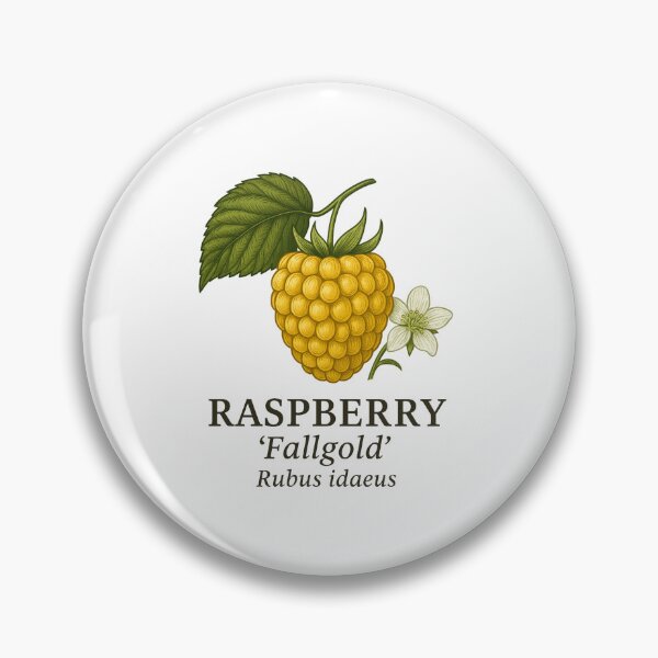 Item preview, Raspberry ‘Fallgold’ – Rubus idaeus designed and sold by BloomKind.