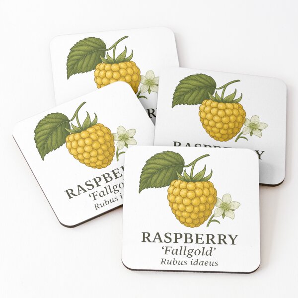 Item preview, Raspberry ‘Fallgold’ – Rubus idaeus designed and sold by BloomKind.