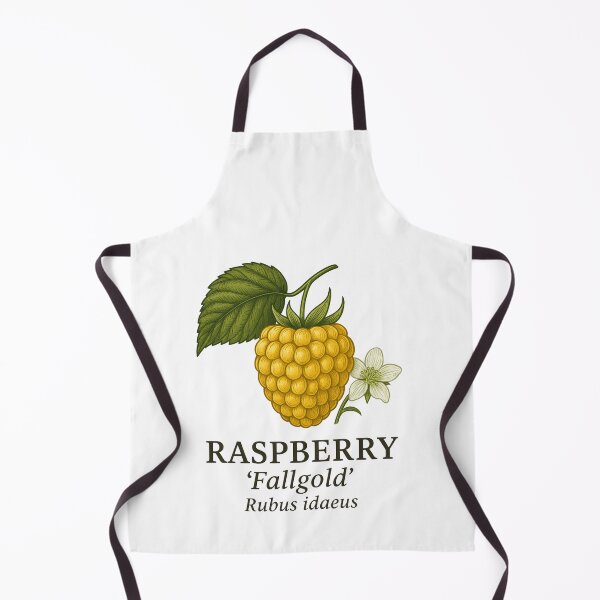 Item preview, Raspberry ‘Fallgold’ – Rubus idaeus designed and sold by BloomKind.