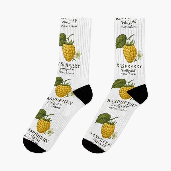 Item preview, Raspberry ‘Fallgold’ – Rubus idaeus designed and sold by BloomKind.