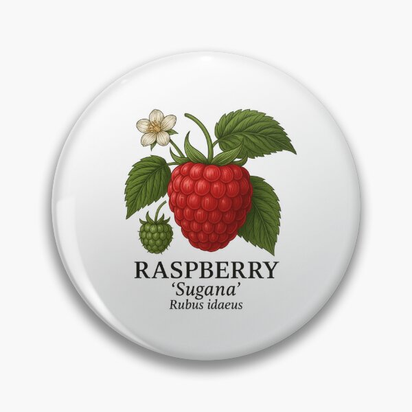Item preview, Raspberry ‘Sugana’ – Rubus idaeus designed and sold by BloomKind.