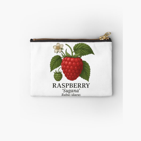 Item preview, Raspberry ‘Sugana’ – Rubus idaeus designed and sold by BloomKind.