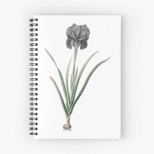 Item preview, Morning Iris plant designed and sold by AngyDesigns49.
