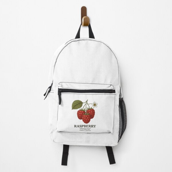 Item preview, Raspberry ‘Octavia’ – Rubus idaeus designed and sold by BloomKind.