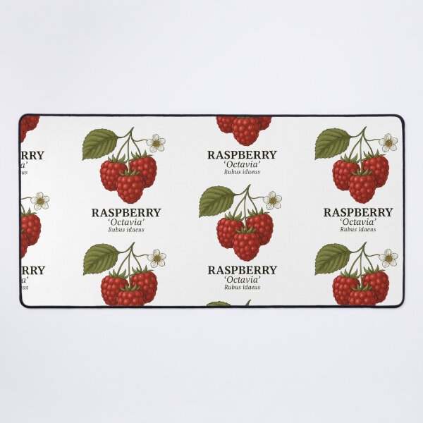 Item preview, Raspberry ‘Octavia’ – Rubus idaeus designed and sold by BloomKind.