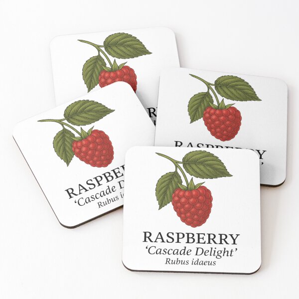 Item preview, Raspberry ‘Cascade Delight’ – Rubus idaeus designed and sold by BloomKind.