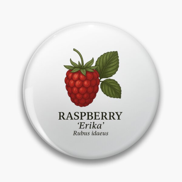 Item preview, Raspberry ‘Erika’ – Rubus idaeus designed and sold by BloomKind.