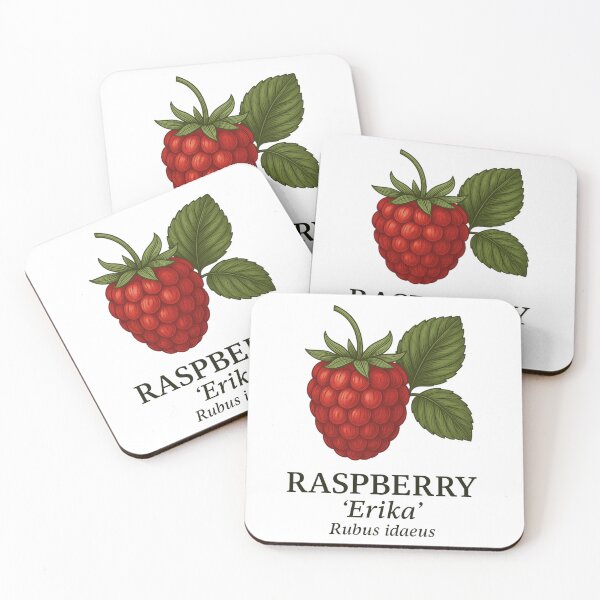 Item preview, Raspberry ‘Erika’ – Rubus idaeus designed and sold by BloomKind.