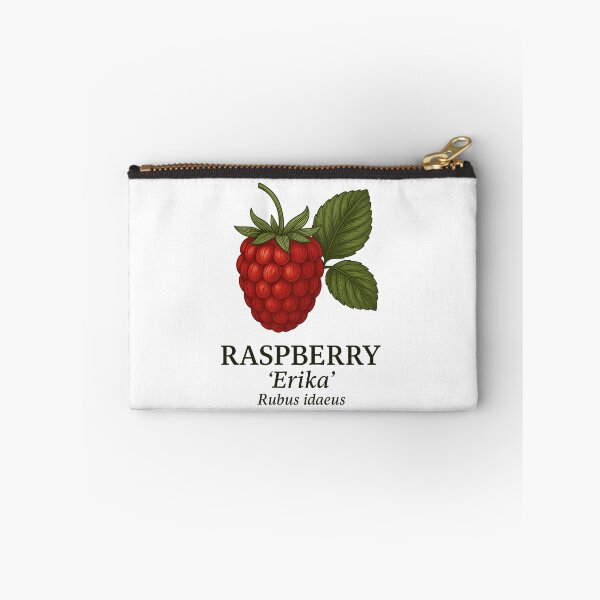 Item preview, Raspberry ‘Erika’ – Rubus idaeus designed and sold by BloomKind.