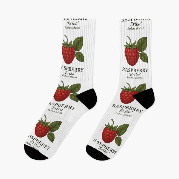 Item preview, Raspberry ‘Erika’ – Rubus idaeus designed and sold by BloomKind.