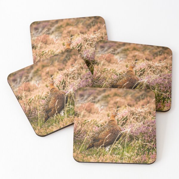 Item preview, Red Grouse designed and sold by Jane Stanley Photography.