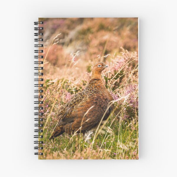 Item preview, Red Grouse designed and sold by Jane Stanley Photography.