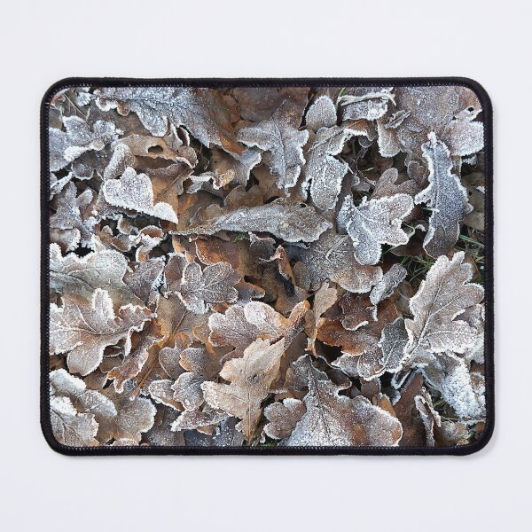 Item preview, Frosted oak leaves 3 designed and sold by paulboizot.