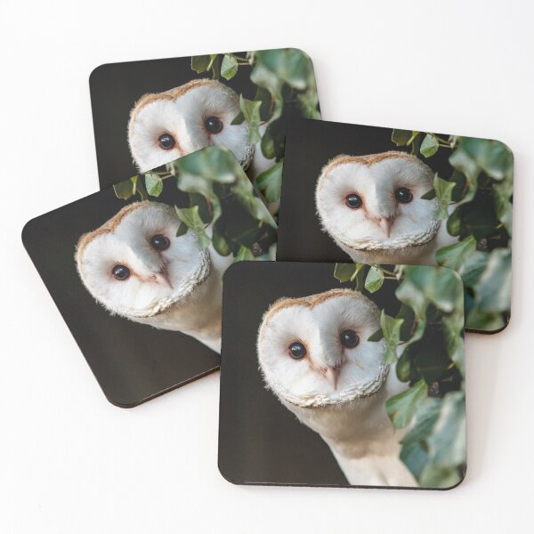 Item preview, Whoos this Owl designed and sold by Dalyndigital Photography.