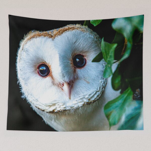 Item preview, Whoos this Owl designed and sold by Dalyndigital Photography.