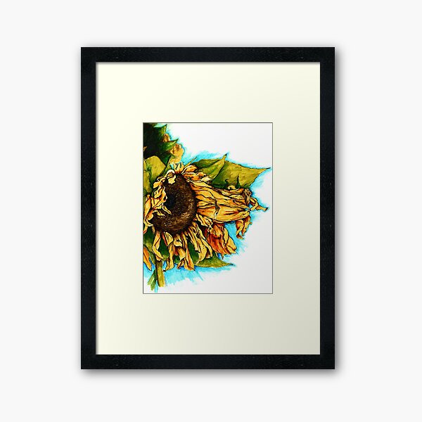 Sunflower Watercolor Framed Art Print