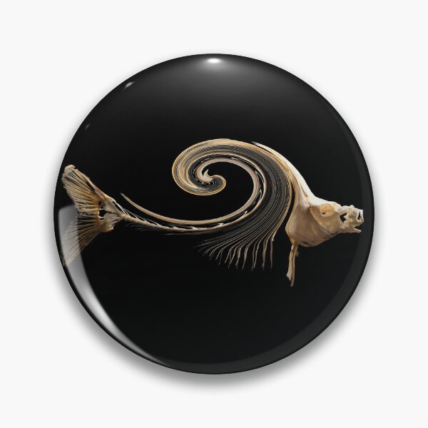 Item preview, Fish skeleton – Aesthetically curved on a black background / Swiss Artwork Photography designed and sold by Raphael Wolf.