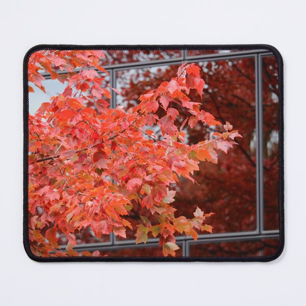 Item preview, Maple Reflection designed and sold by Daniel Safer Photography.