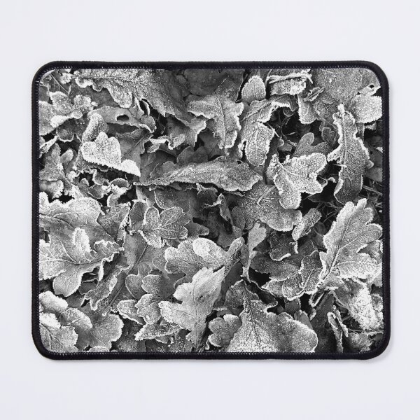 Item preview, Frosted oak leaves 3, monochrome designed and sold by paulboizot.