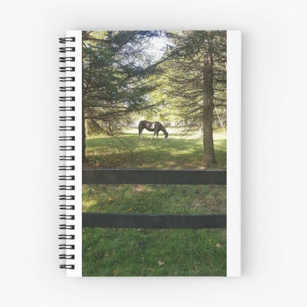 Item preview, Horse Grazing in Morning Light designed and sold by WhyWhisper.
