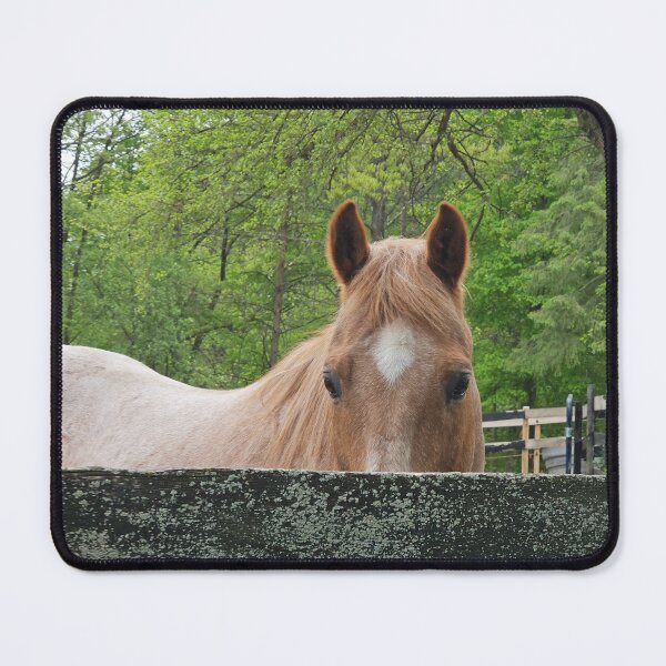 Item preview, Red Roan Watching designed and sold by WhyWhisper.