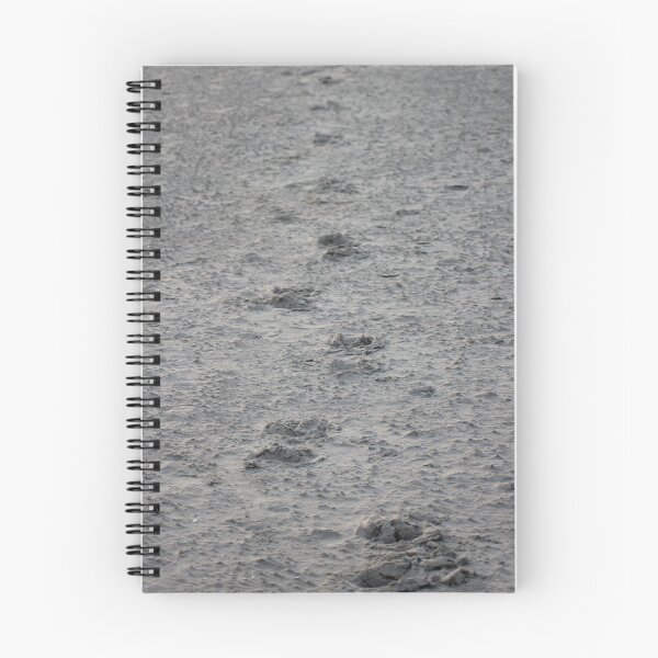 Item preview, Footprints in the sand designed and sold by Marije Kouyzer.