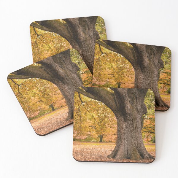 Item preview, Autumn in Melbourne designed and sold by David Bowman.